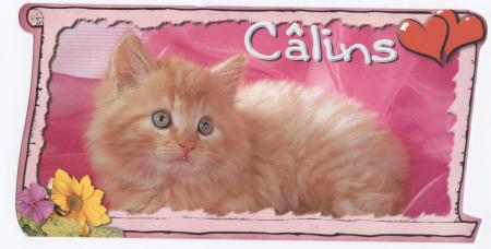 câlins