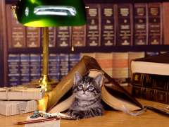 lecture
