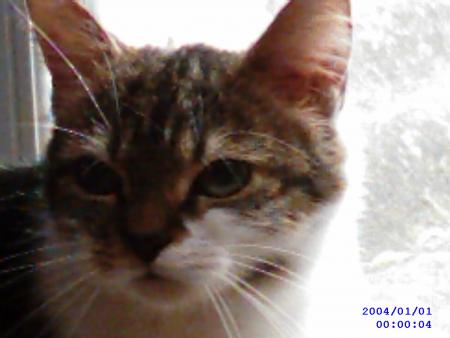 Lilou