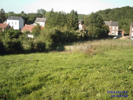 une partie de mon jardin