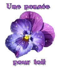 pour toutes et tous